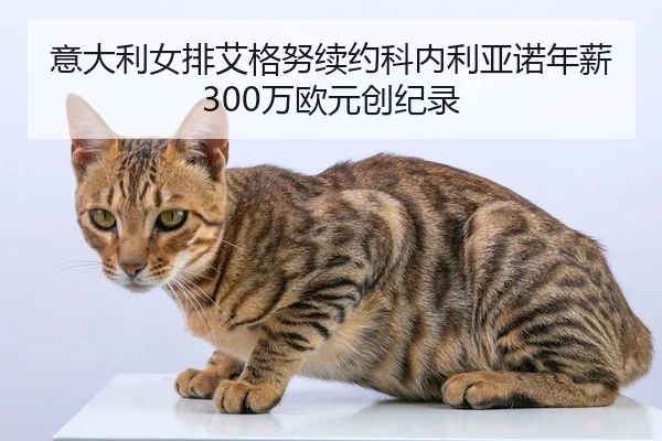 yi-da-li-nv-pai-ai-ge-nu-xu-yue-ke-nei-li-ya-nuo-nian-xin-wan-ou-yuan-chuang-ji-lu-2-429.jpg