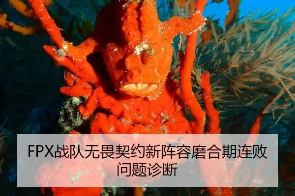 zhan-dui-wu-wei-qi-yue-xin-zhen-rong-mo-he-qi-lian-bai-wen-ti-zhen-duan-2-735.jpg